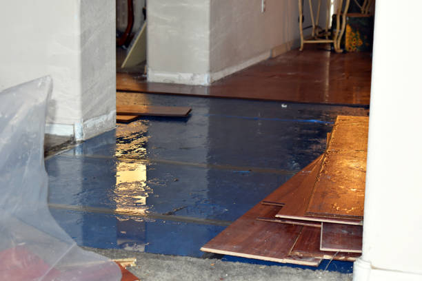 Professional Burst Pipe Cleanup technician working in Higgins Lake, MI