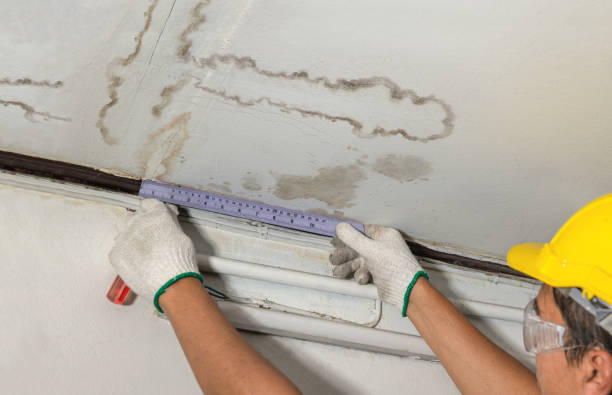 Reliable Burst Pipe Cleanup contractor in Higgins Lake, MI by Local Water Damage Repair